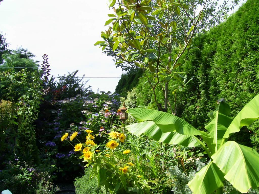 Hotel Garden House à Courtenay Extérieur photo